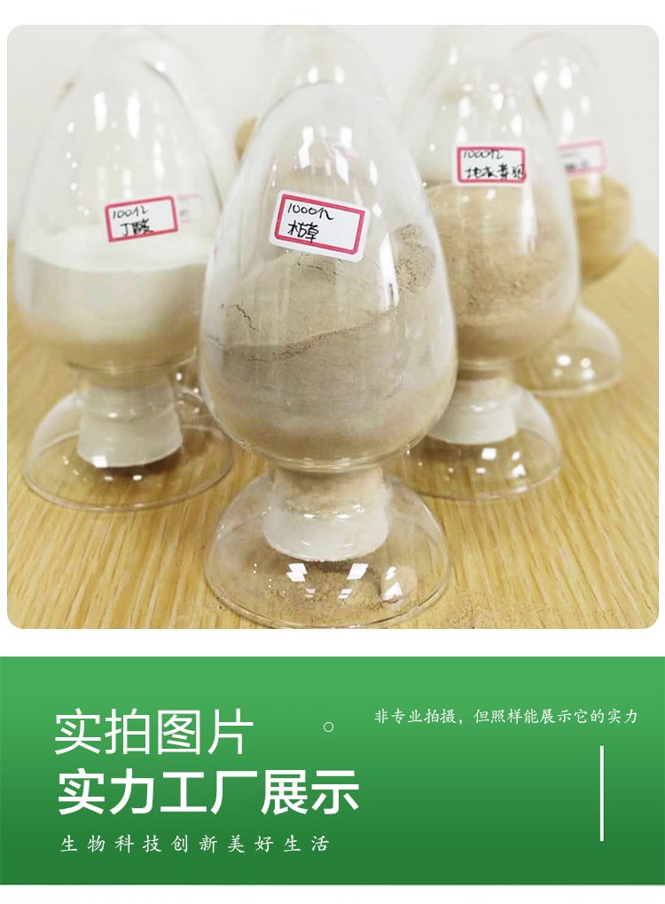 枯草芽孢桿菌 枯草芽孢桿菌