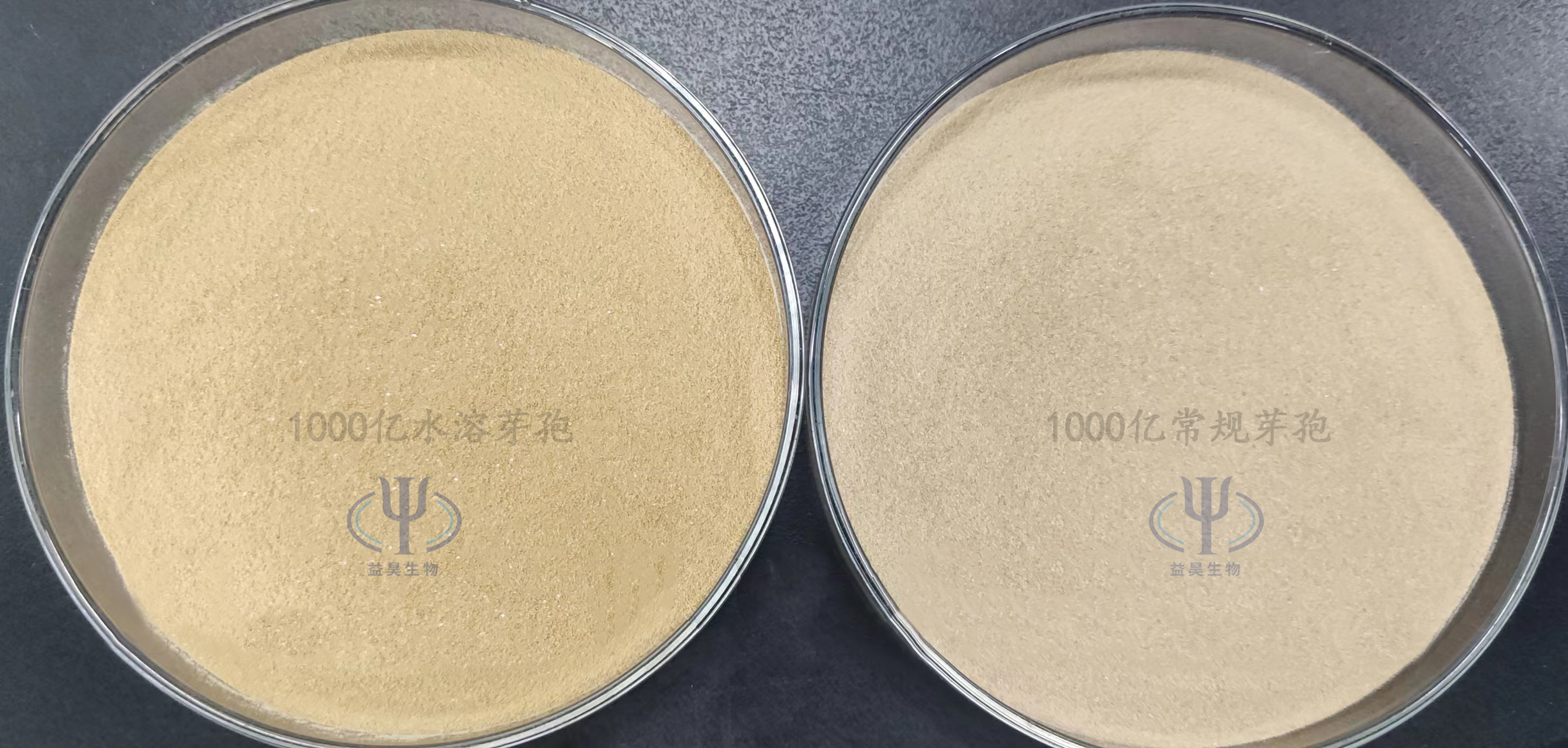 微生物肥料 微生物肥料