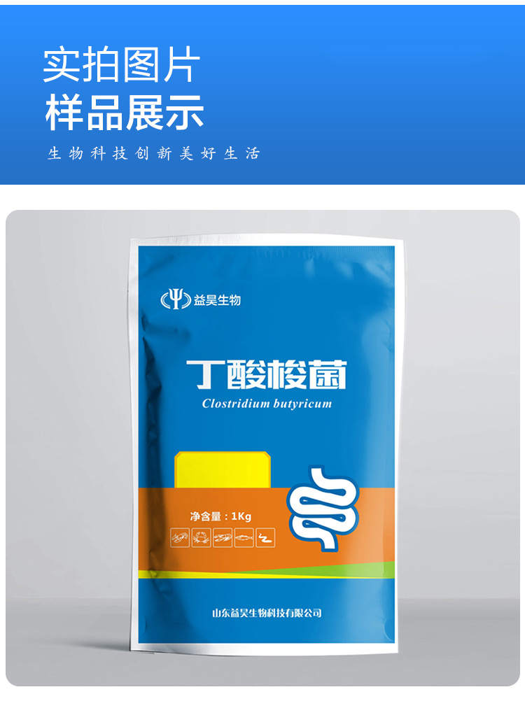 丁酸梭菌廠家 丁酸梭菌